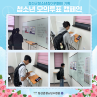 ✨ 정선군청소년참여위원회 기획 청소년 모의투표 캠페인 